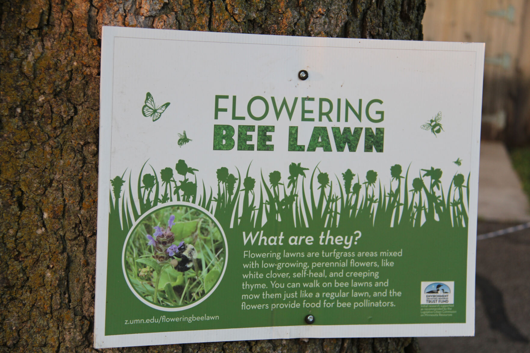 bee-lawn-3965-bee-lawn-sign-closeup.jpg